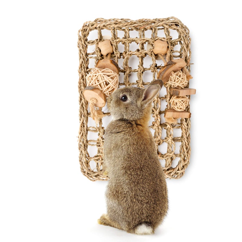 andwe Seagrass Protector Mat with Toys for Rabbit Bunny Chinchilla Guinea Pigs or Other Rodent Pets (11 X 7.87-inch) - Image 1